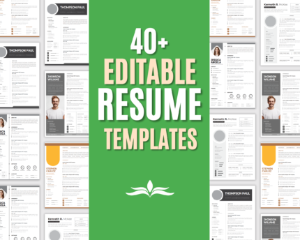 45+ Resume Templates (Adobe Illustrator, Word)
