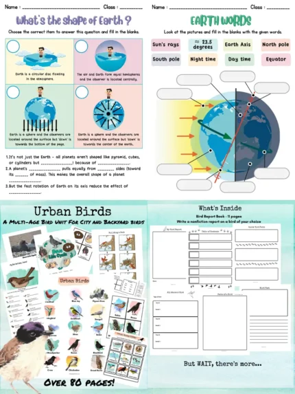 Mega Science Worksheet Bundle – 578 Pages of Hands On Learning for Kids