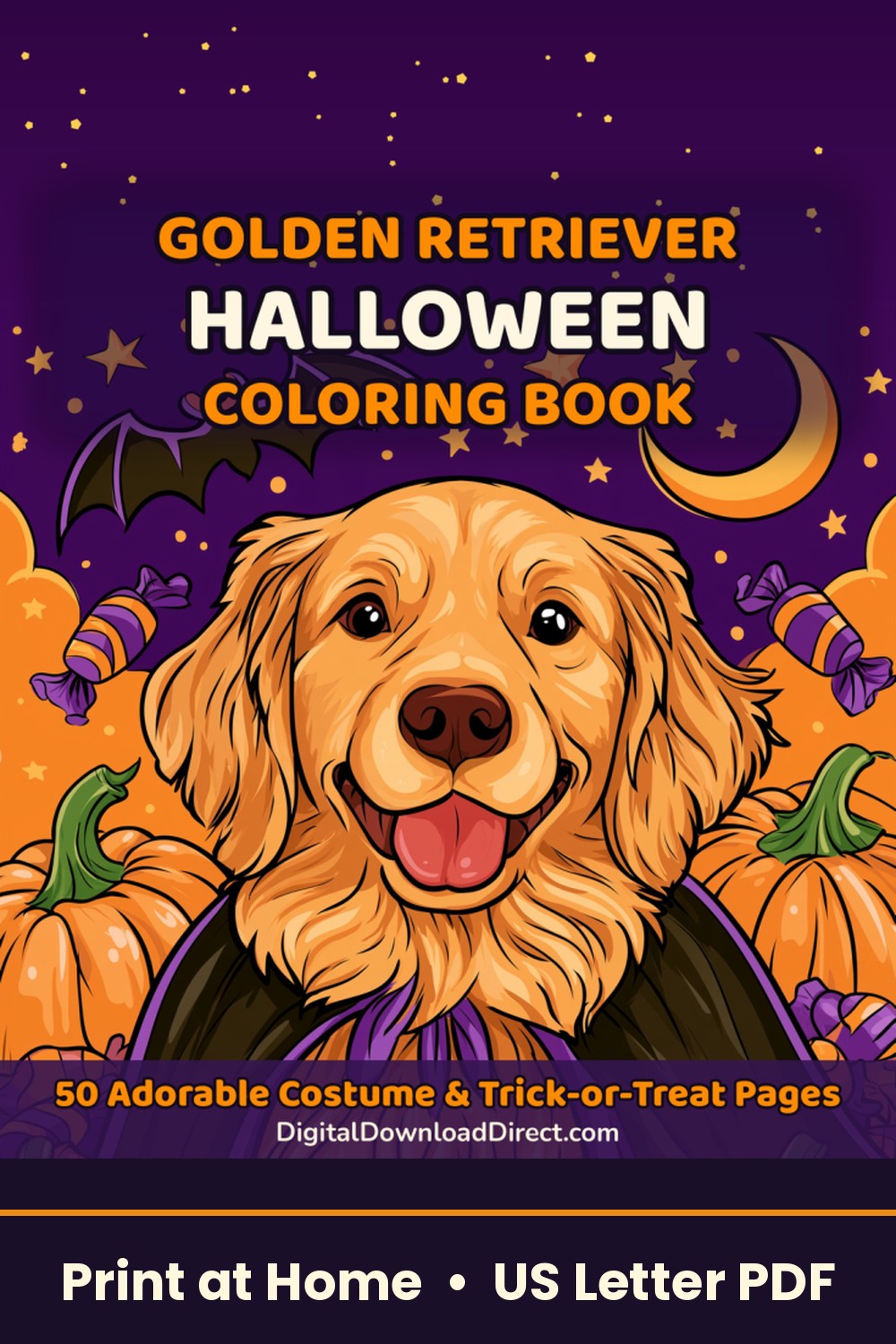 goldenretriever cover 02