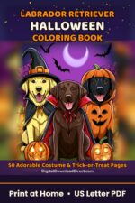 labrador cover 02