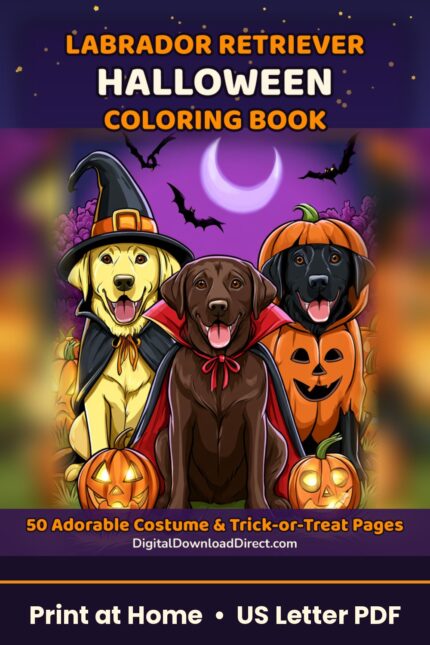 labrador cover 02