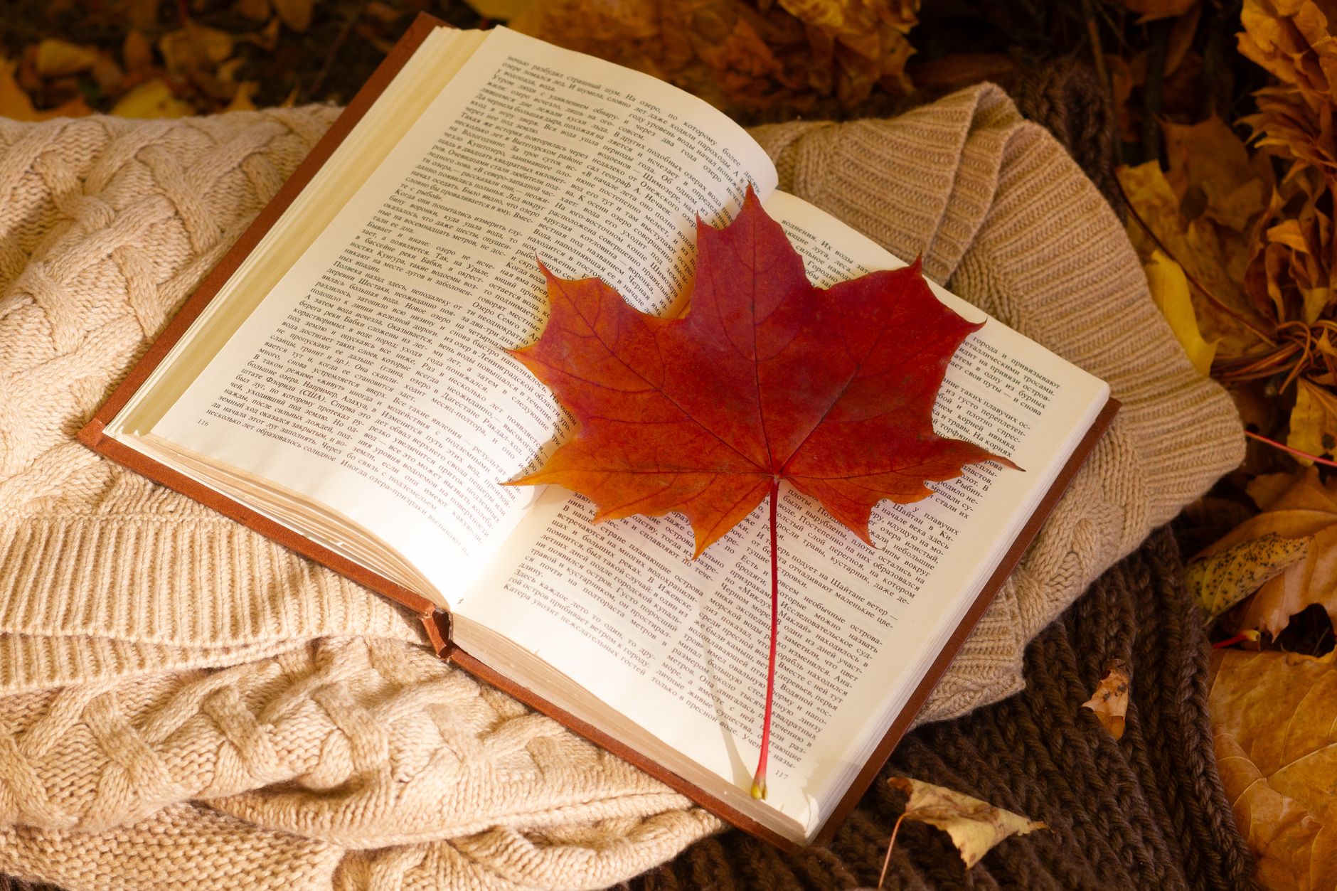 Fall coloring pages to cozy up your autumn evenings