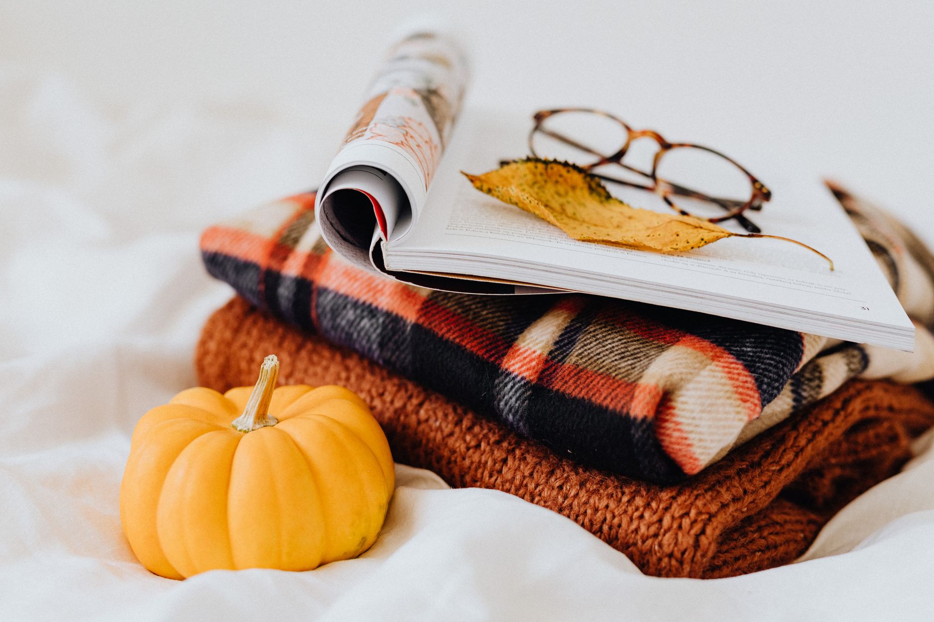 Pumpkin coloring pages for every age