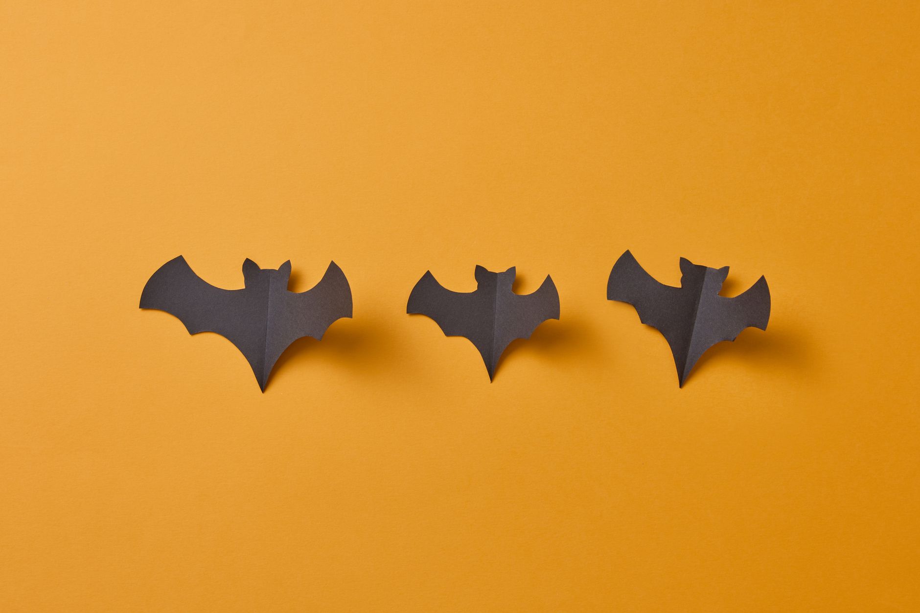 Bat coloring pages for a spooky season craft